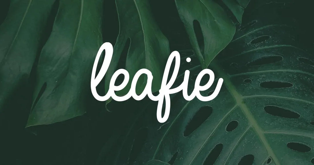 7 ways cannabis legalisation has improved society across the world